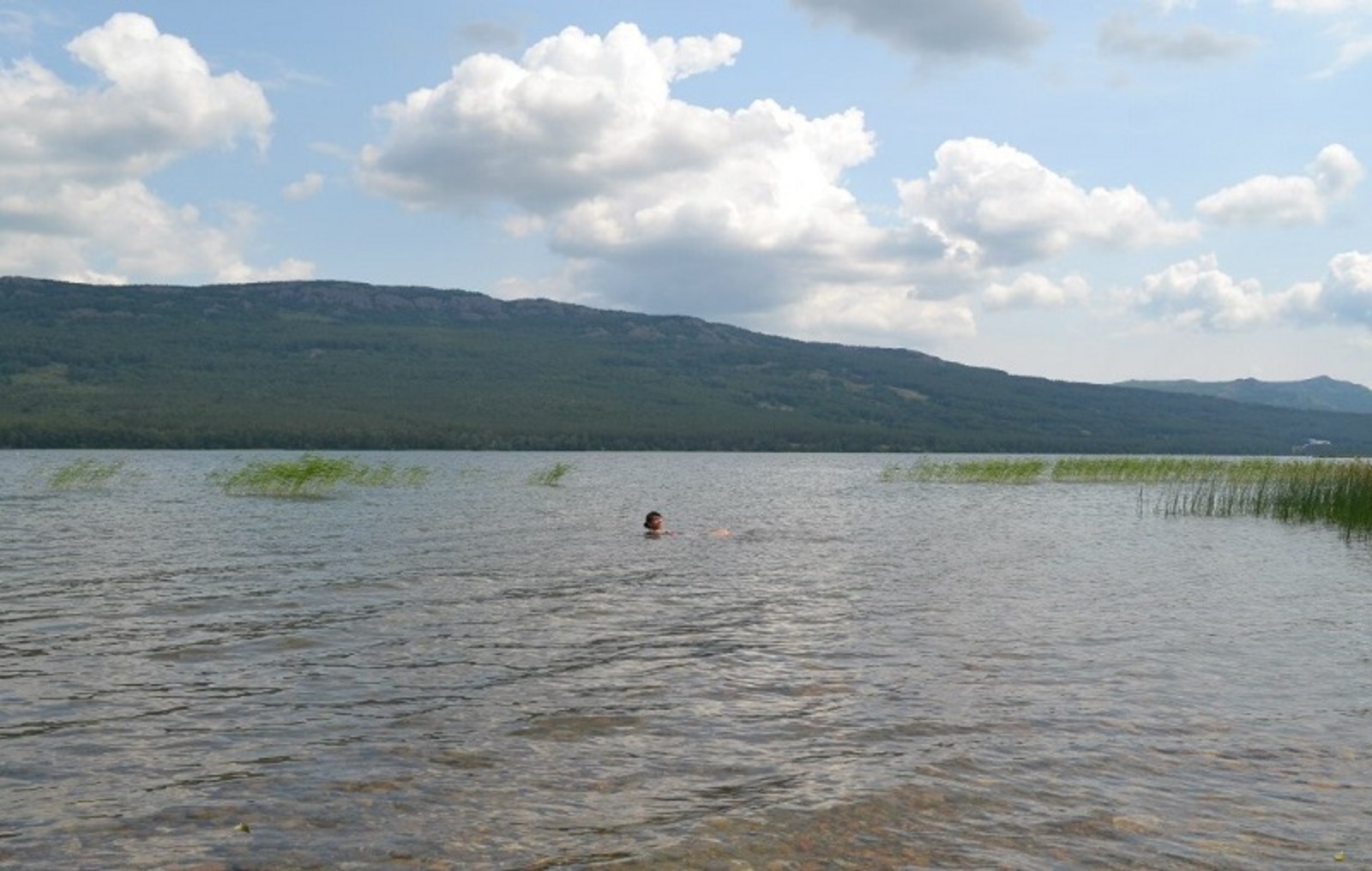 Фото автора.