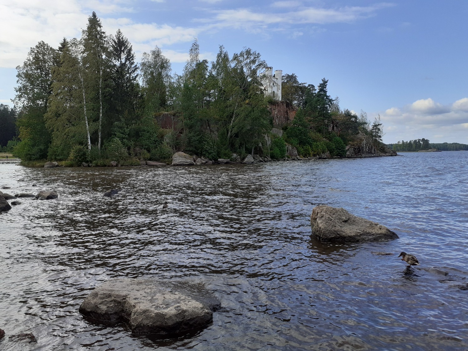Владимира Шакиева.