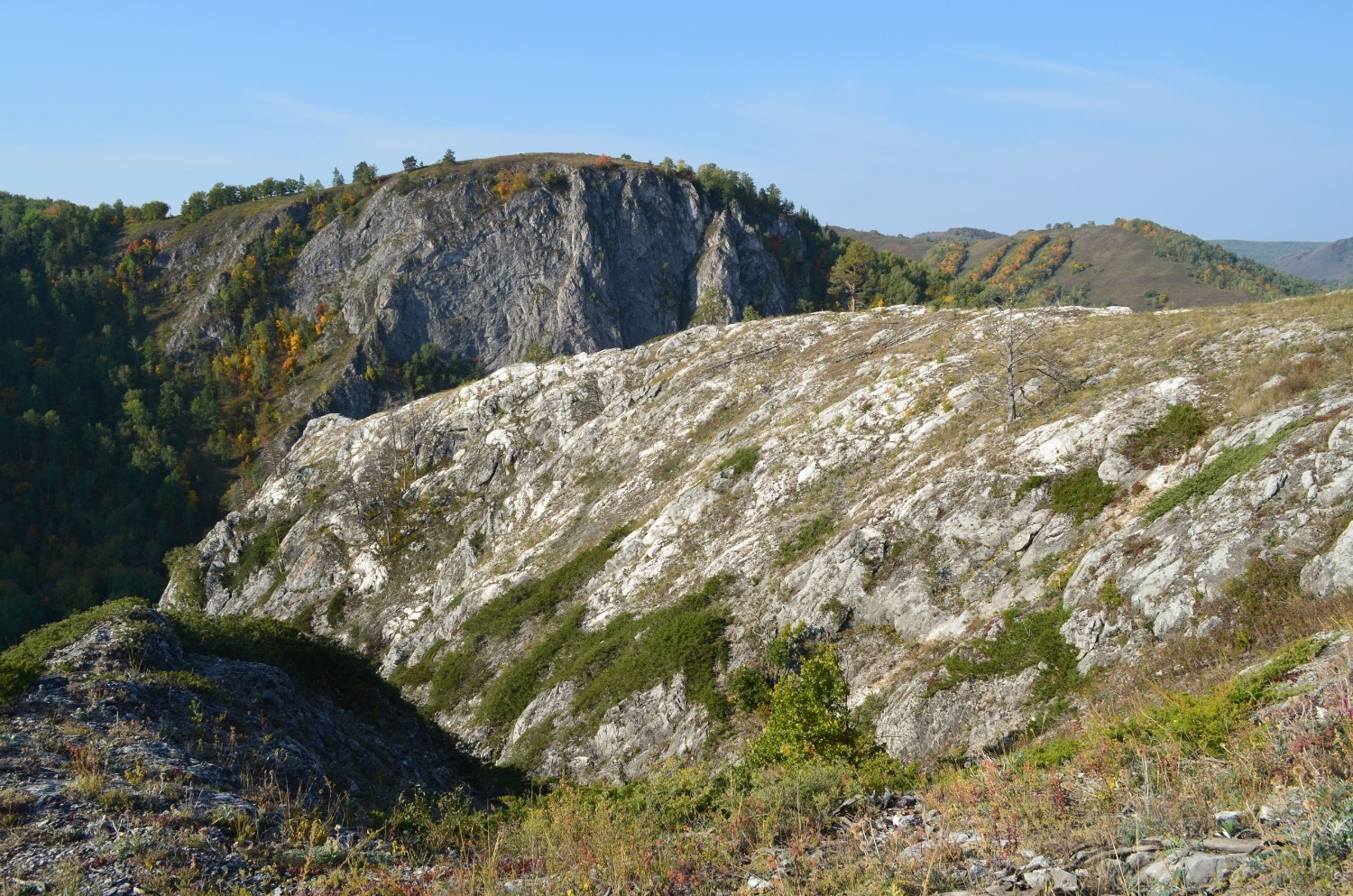 Владимира Шакиева.