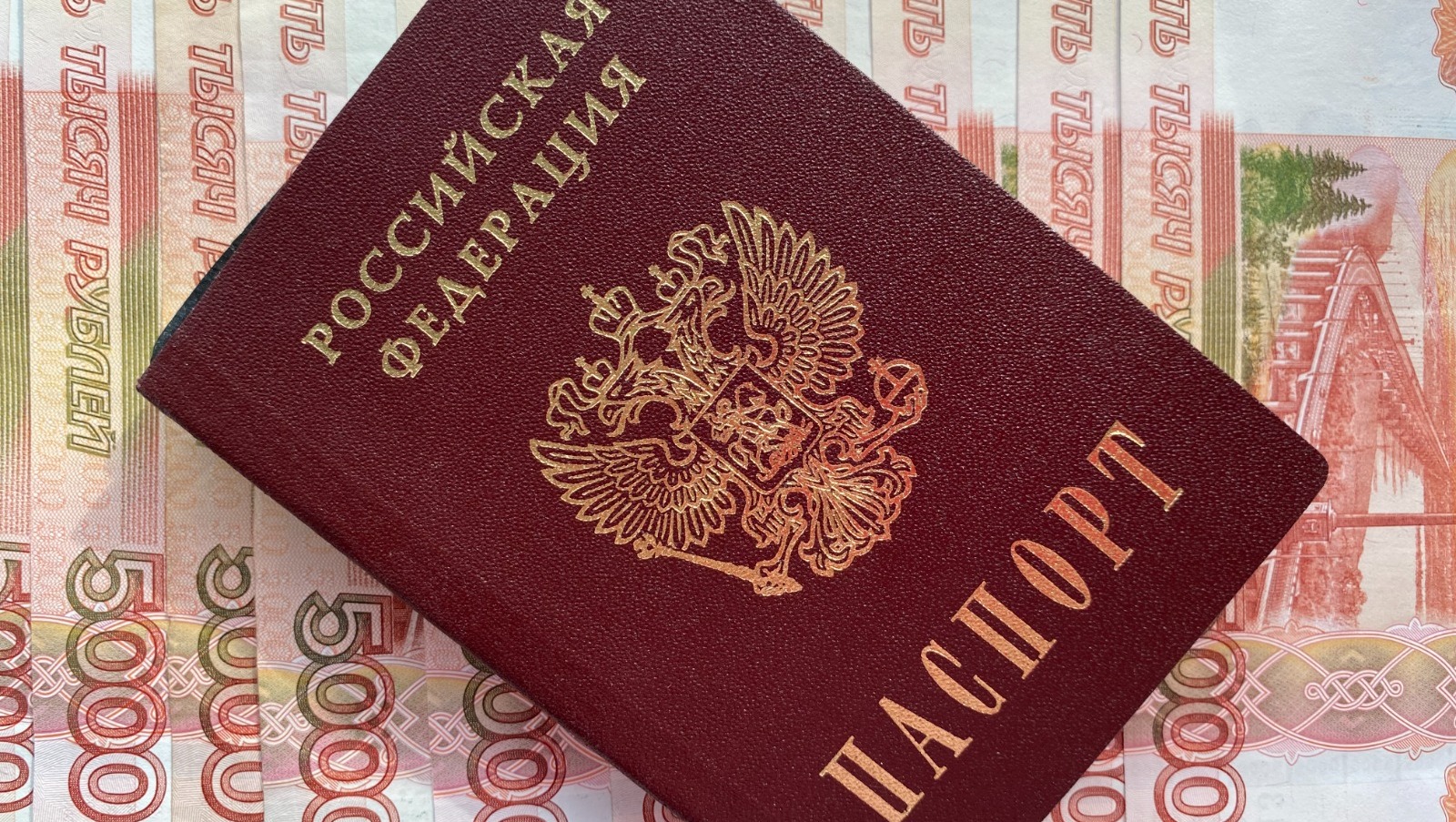 Елены Колоколовой.