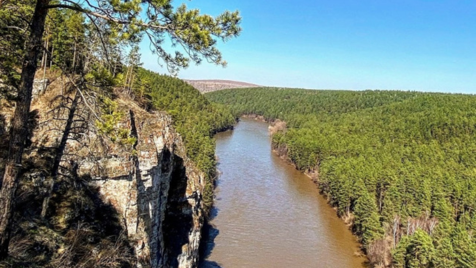 Елены Колоколовой.