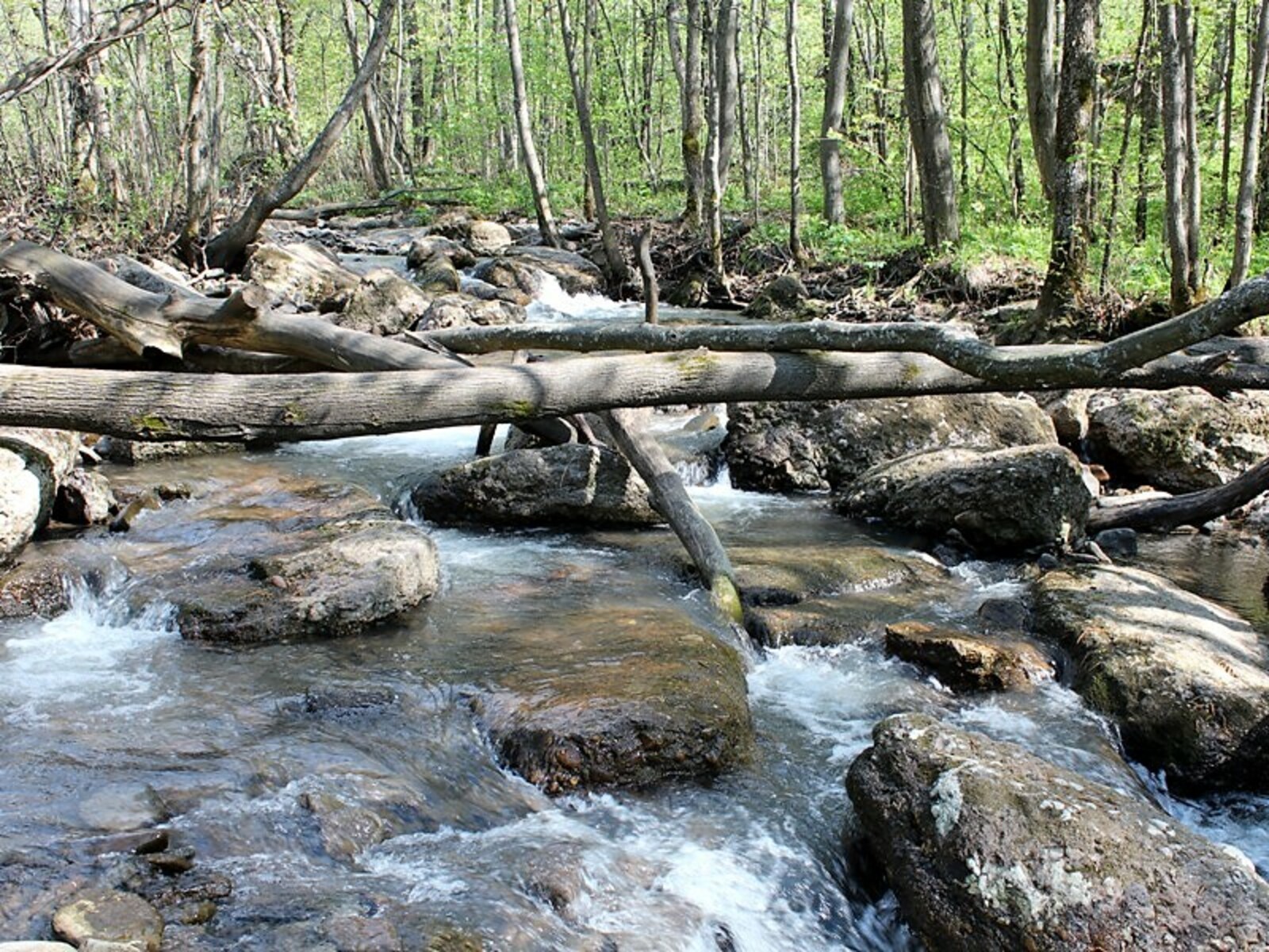 Фото автора.