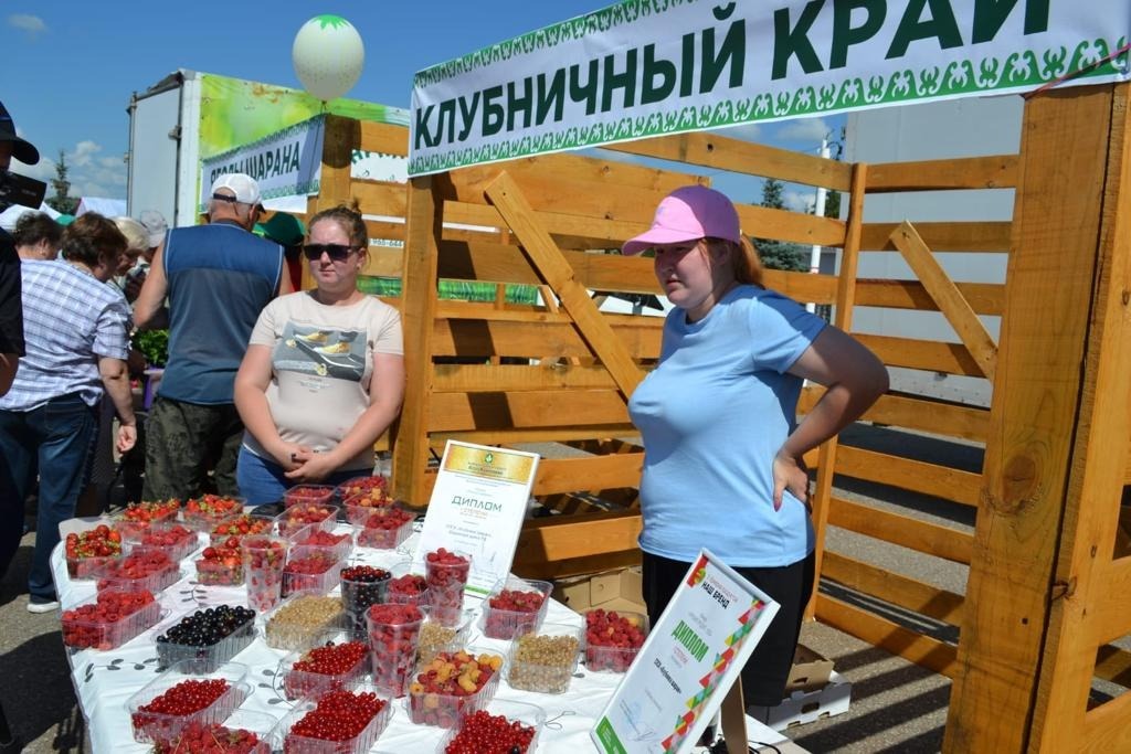 предоставлено Олегом Димитриевым.