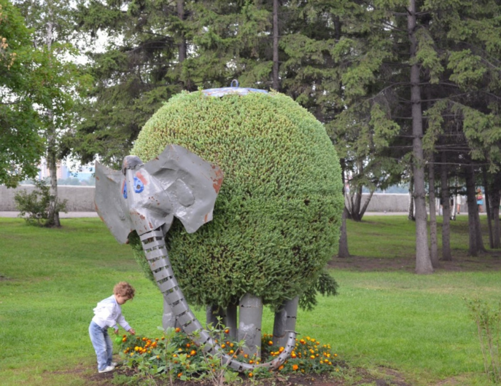 Фото автора.