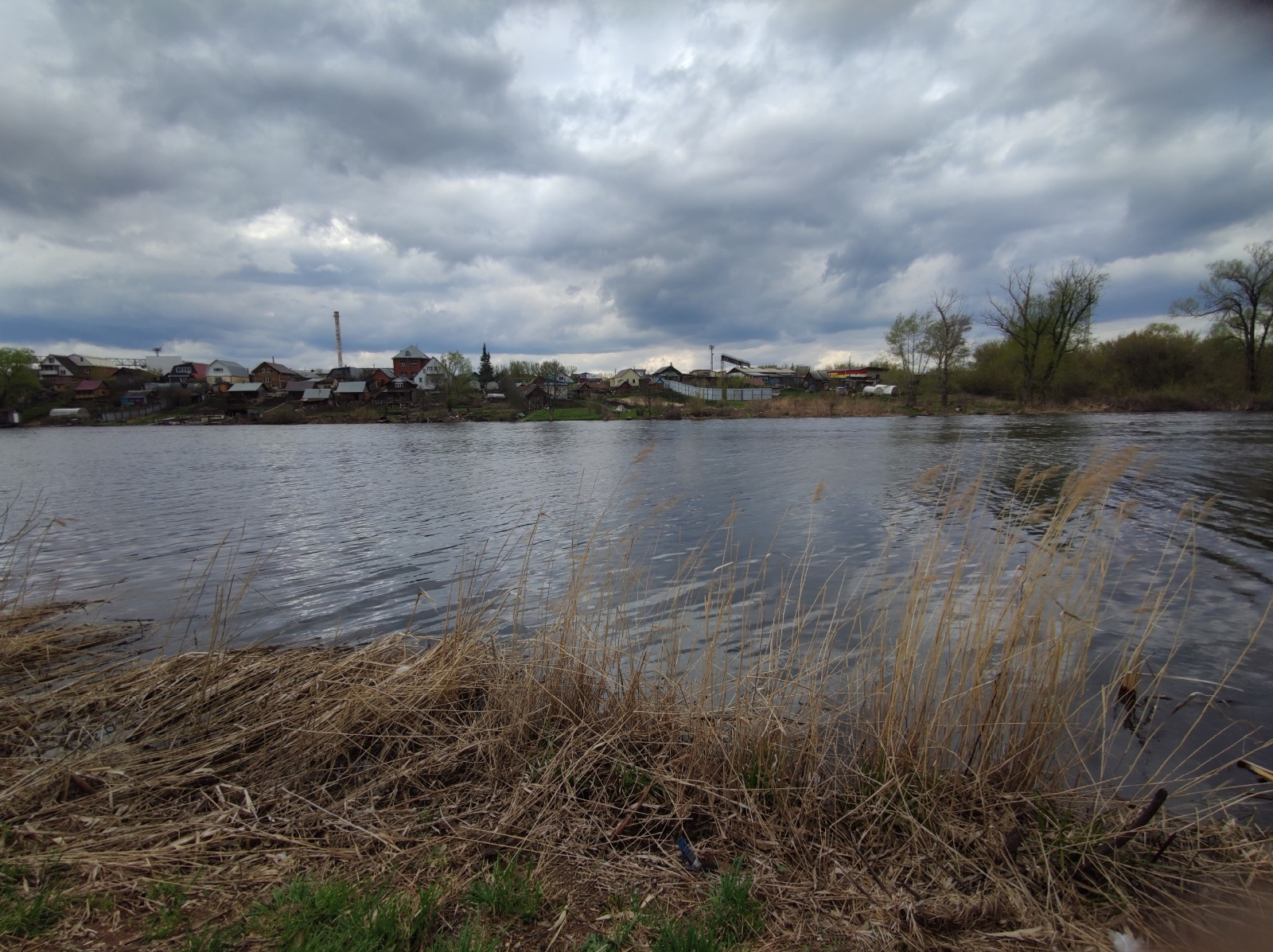 Дарьи Святохиной. «Общественная электронная газета».