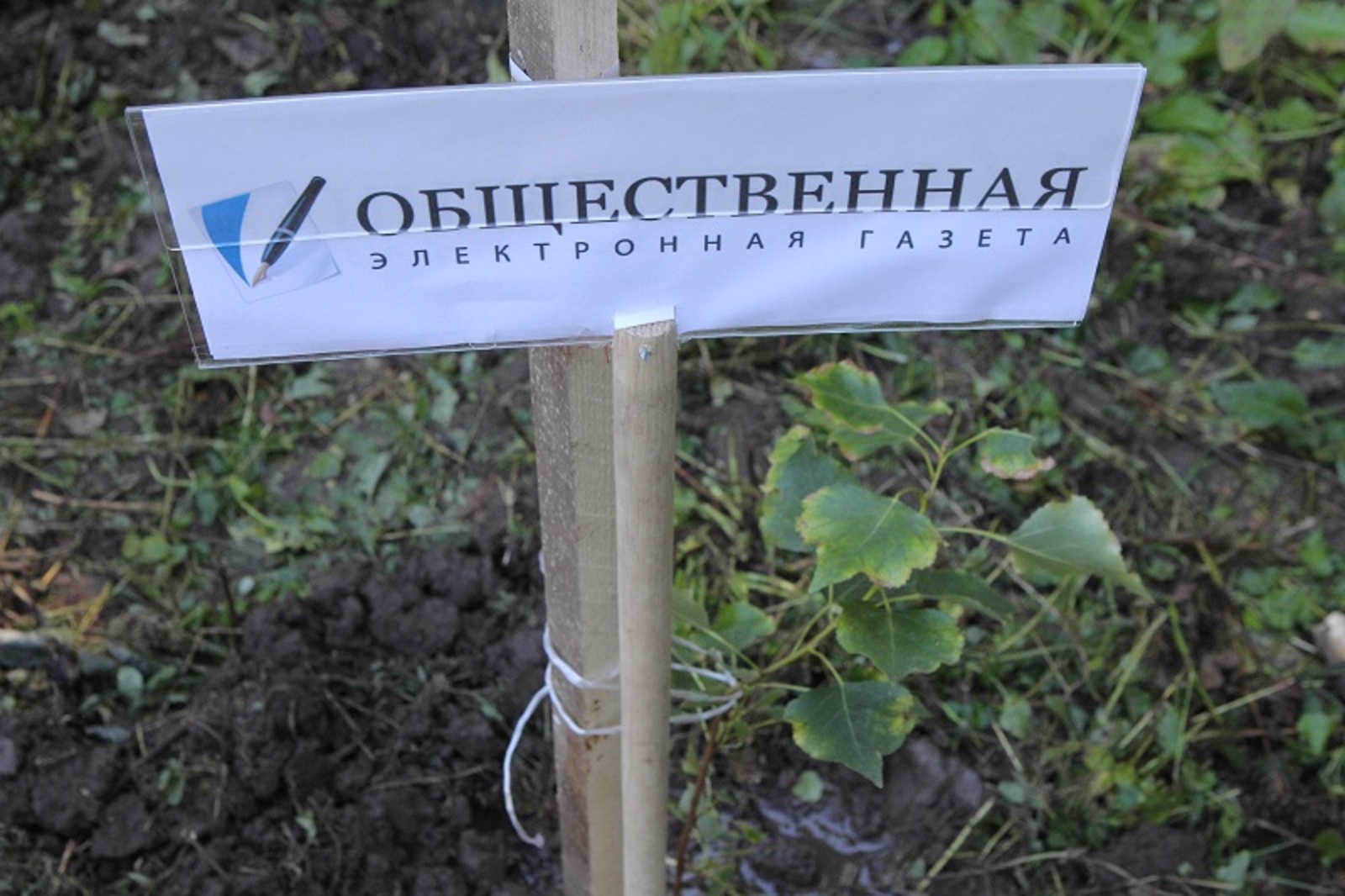 Фото Олега Яровикова.