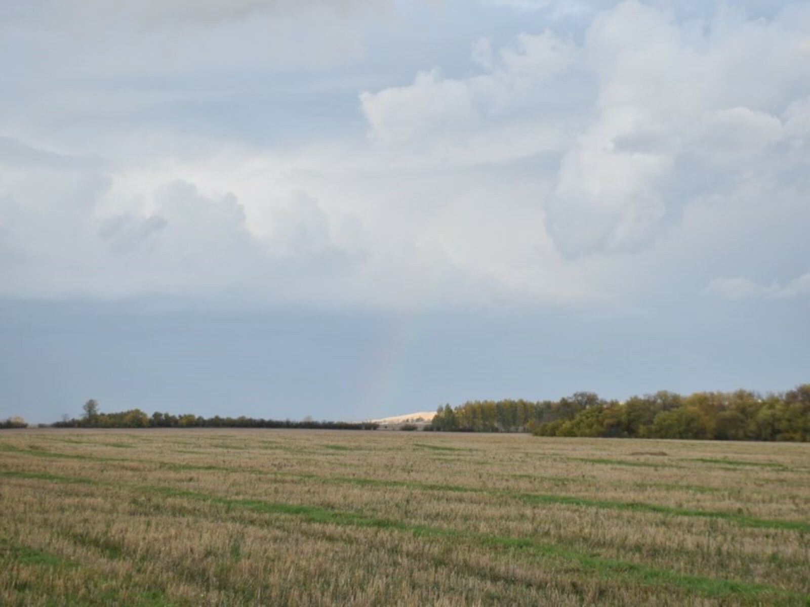 Фото Елены Колоколовой.