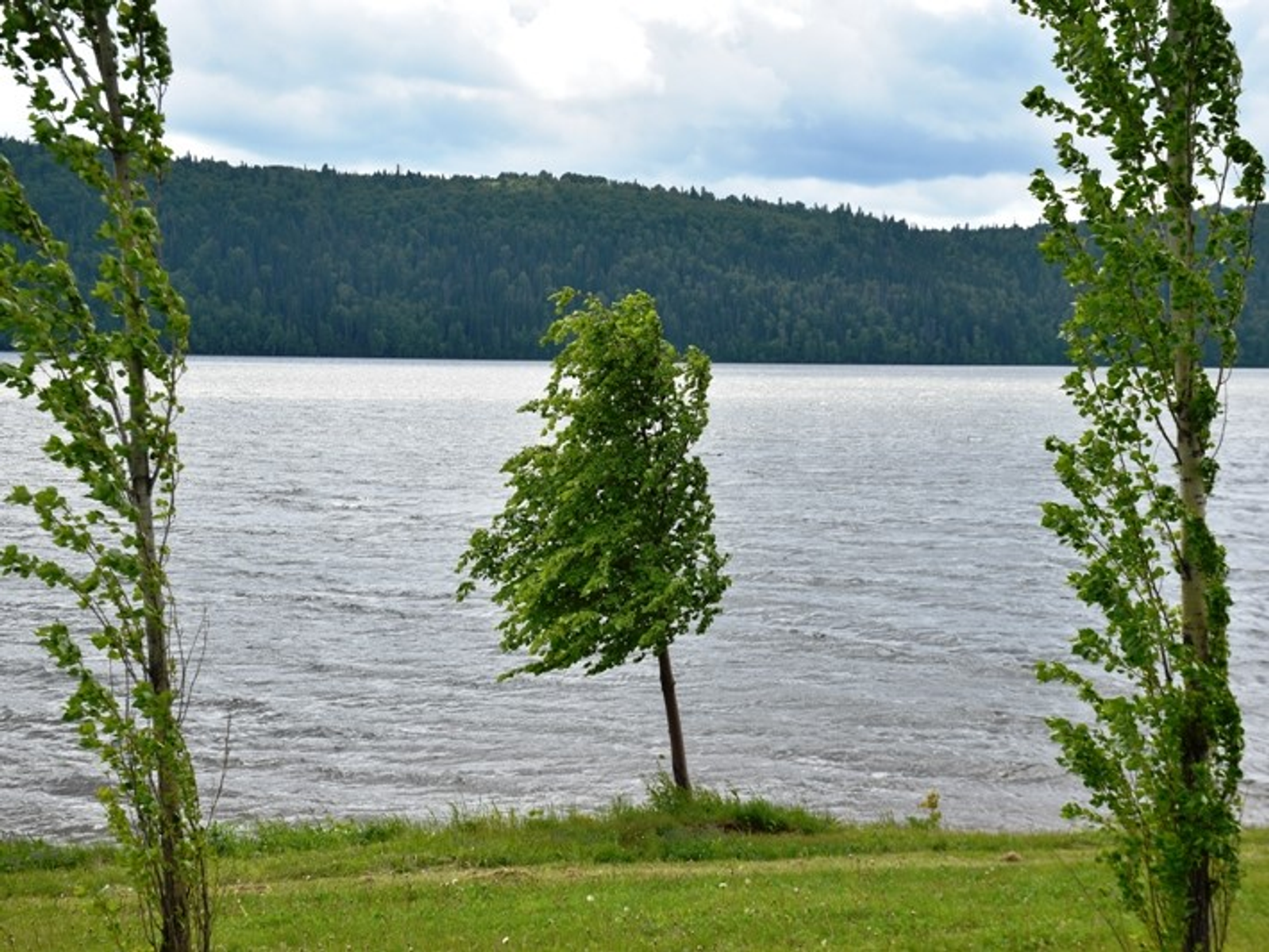 Фото Елены Колоколовой.