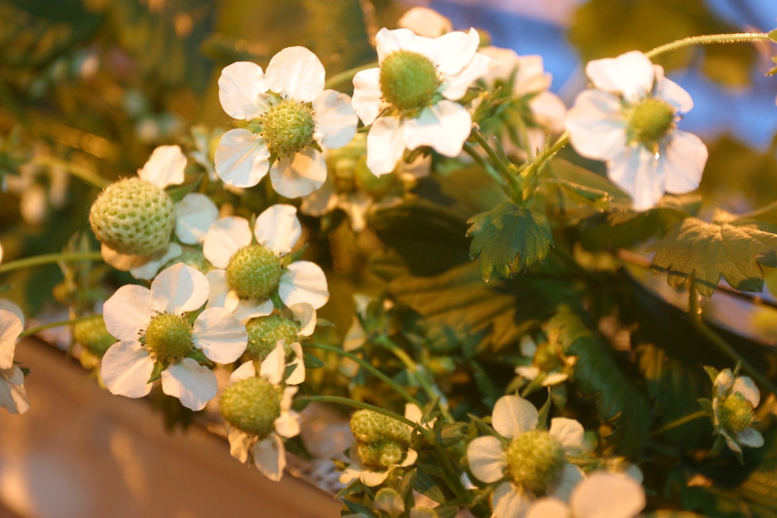 ИА «Башинформ».