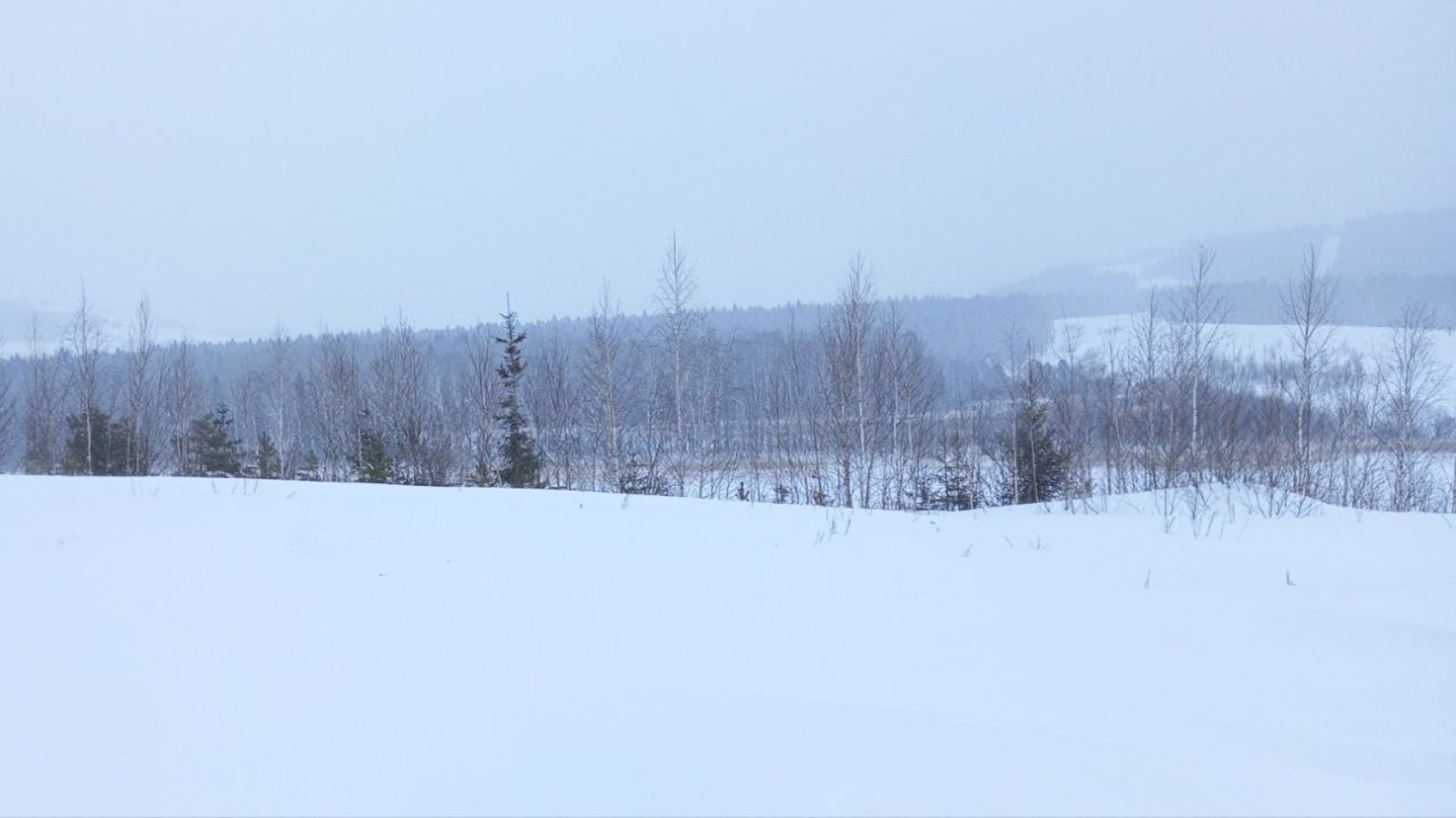 Евгении Сюткиной. «Общественная электронная газета».