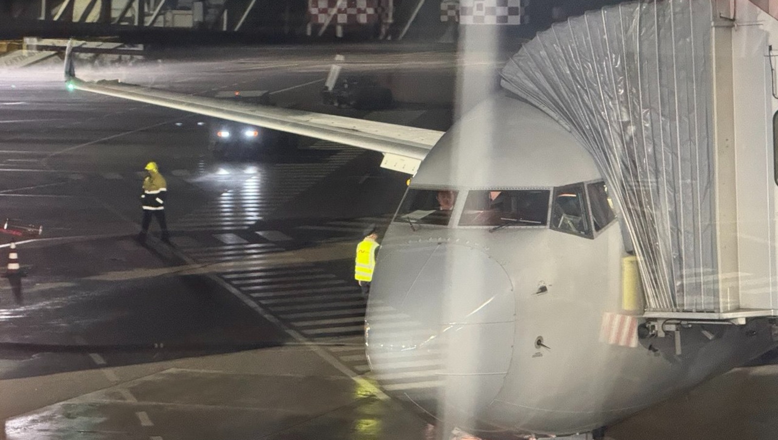 Елены Колоколовой.