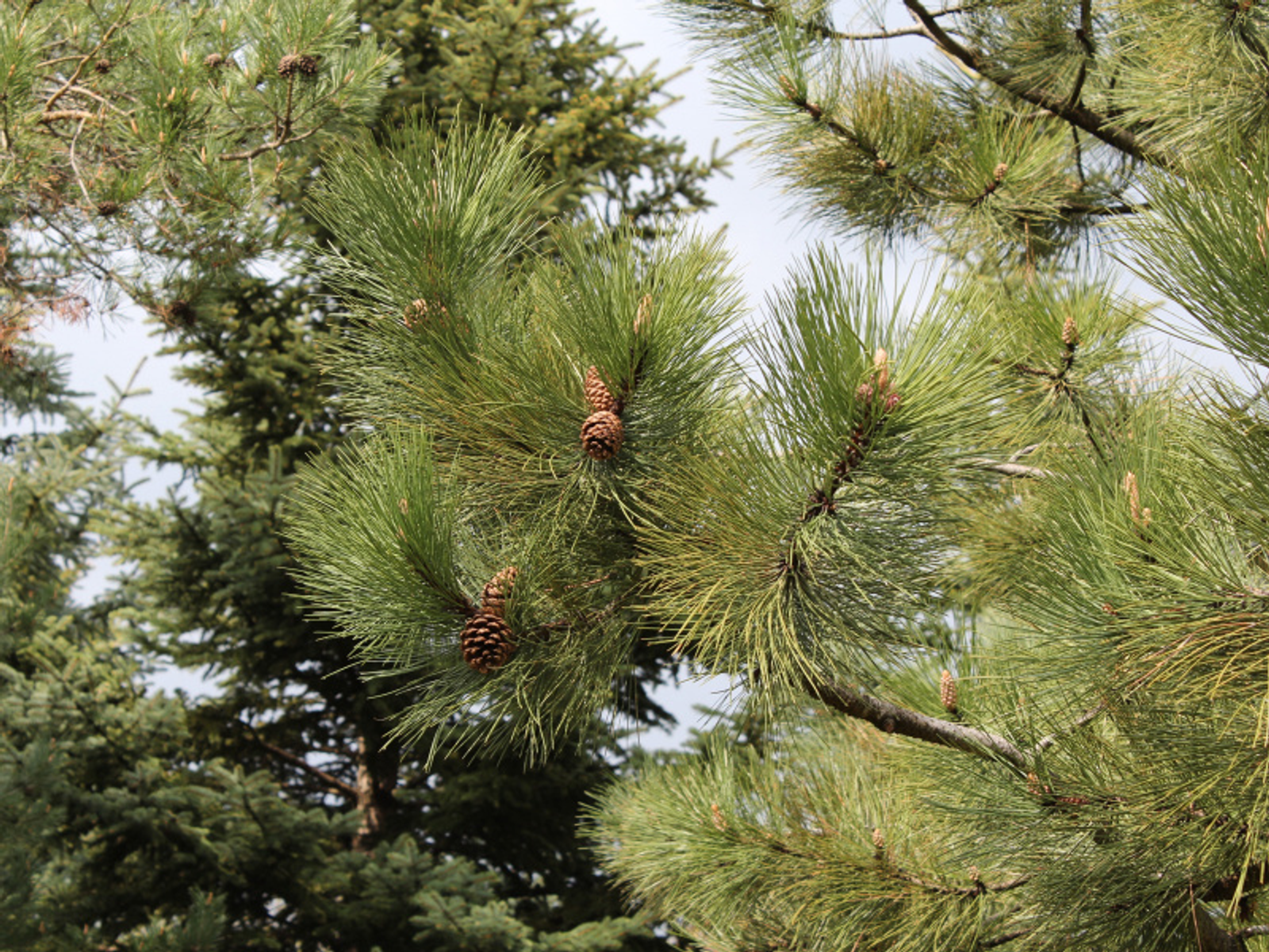Фото Дарьи Святохиной.
