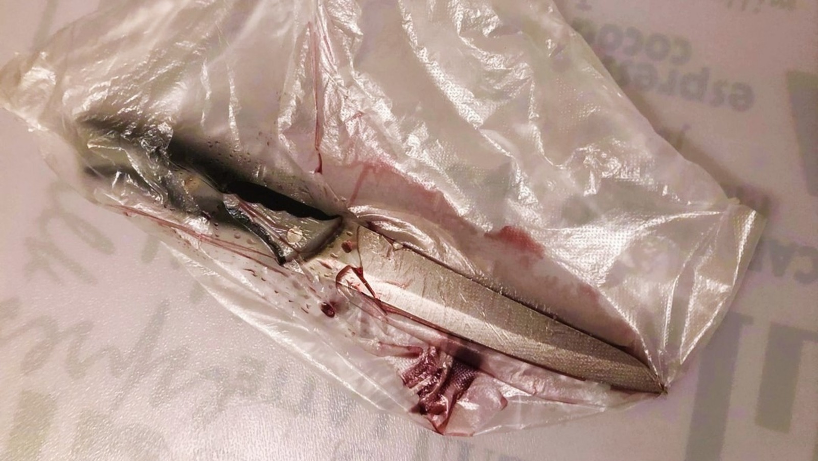 Елены Колоколовой.