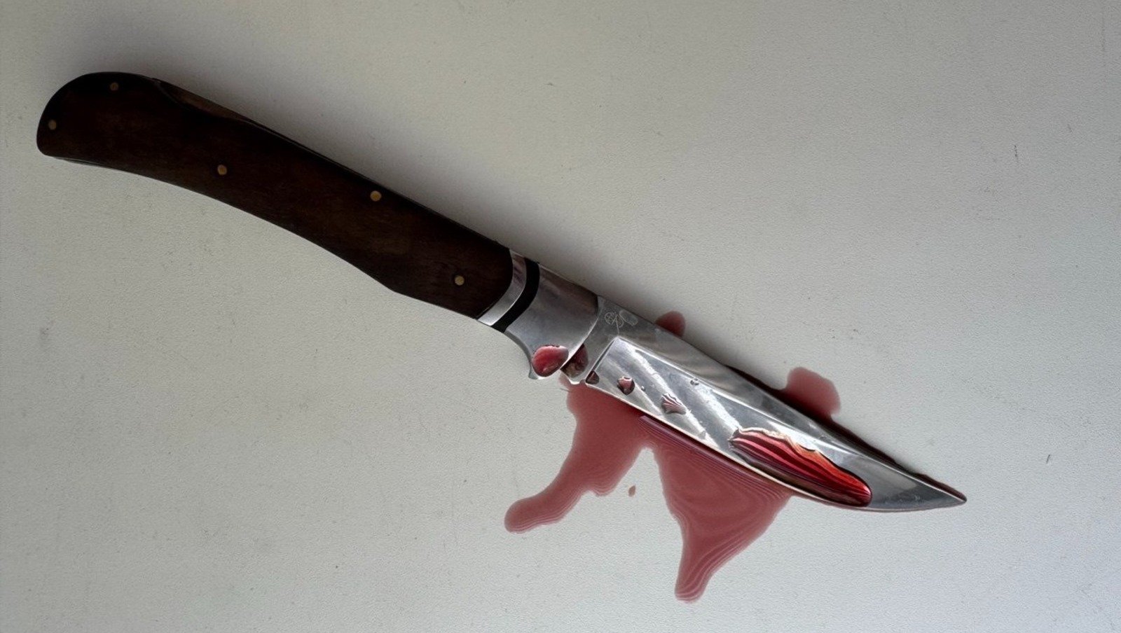 Елены Колоколовой.