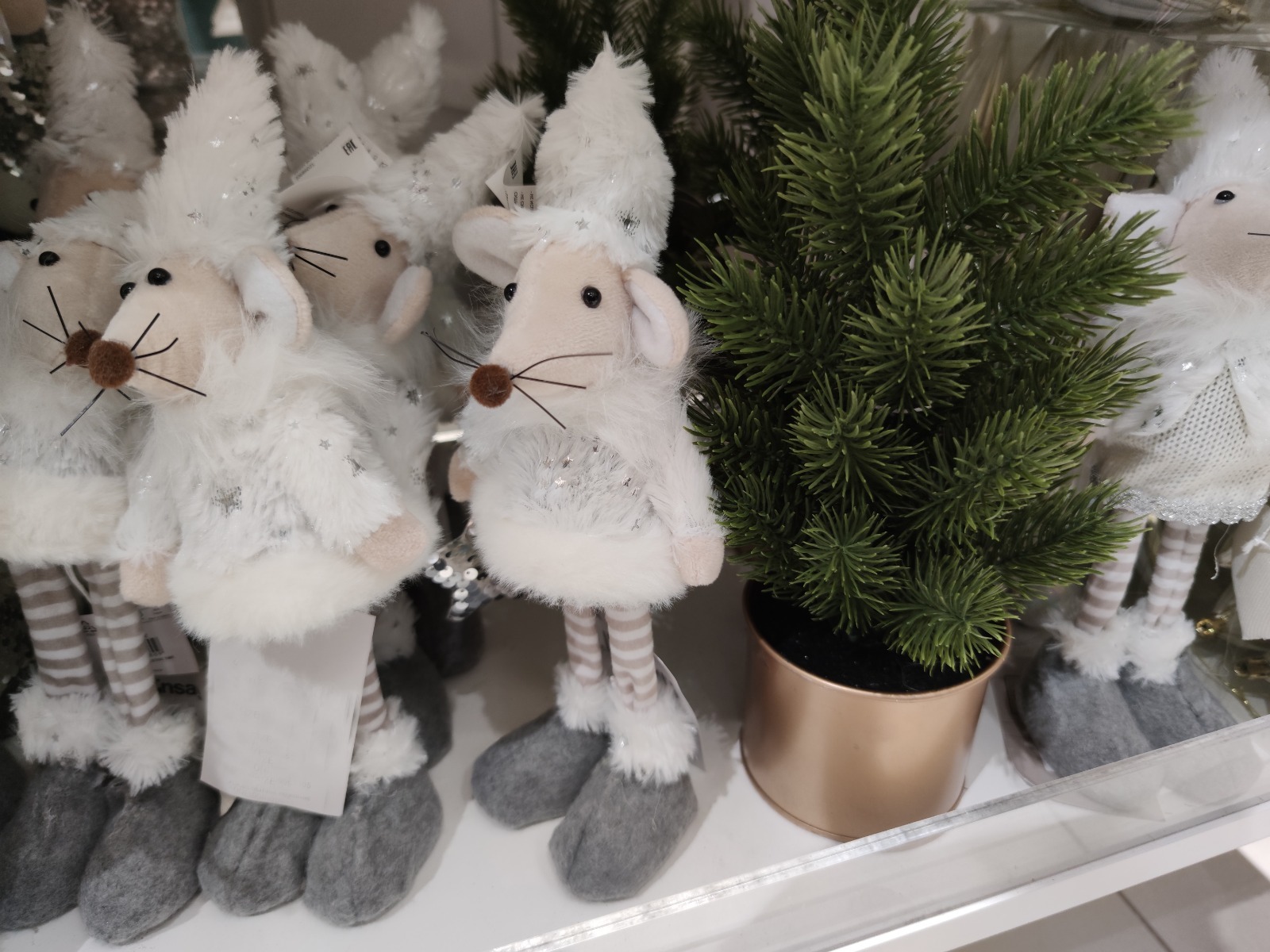 Дарьи Святохиной.