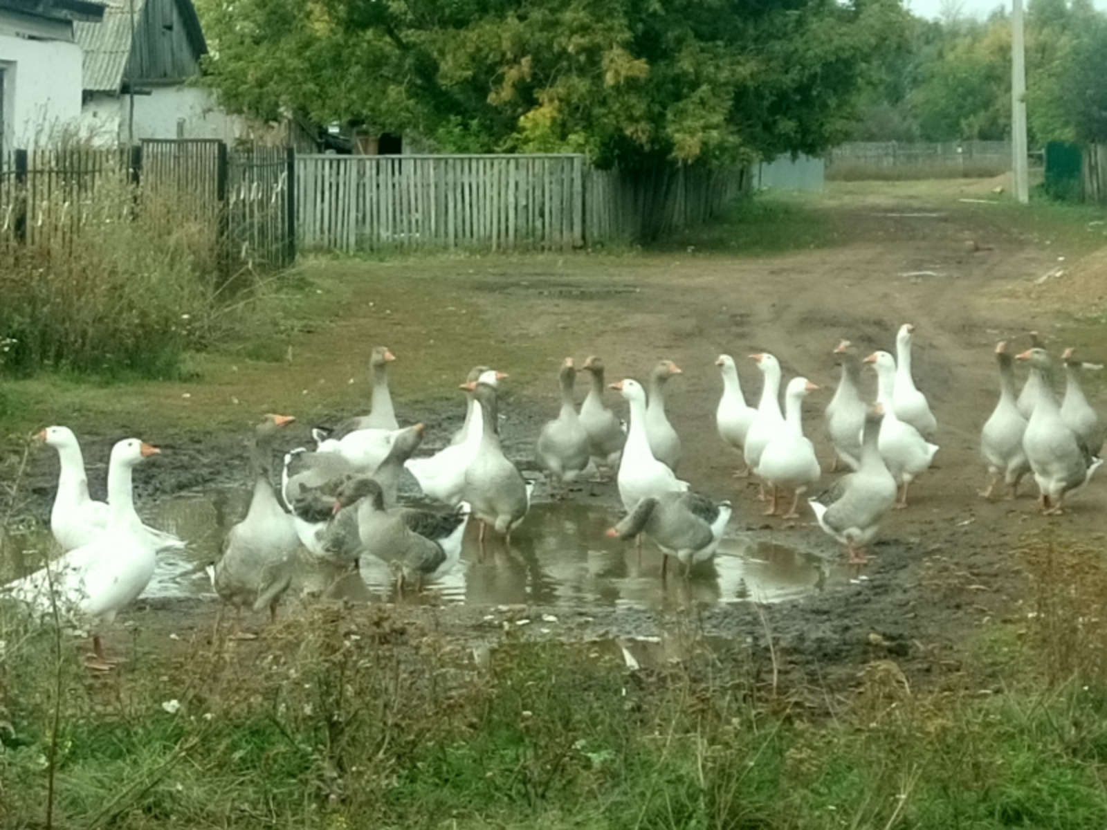 Фото Васили Саитовой.