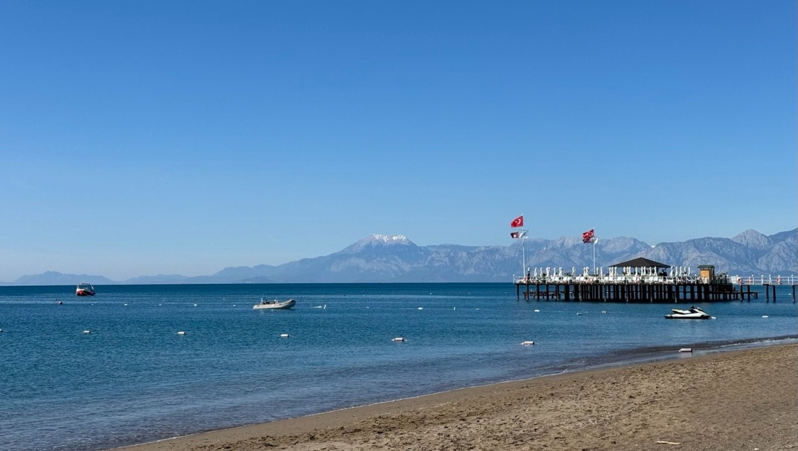 Елены Колоколовой.