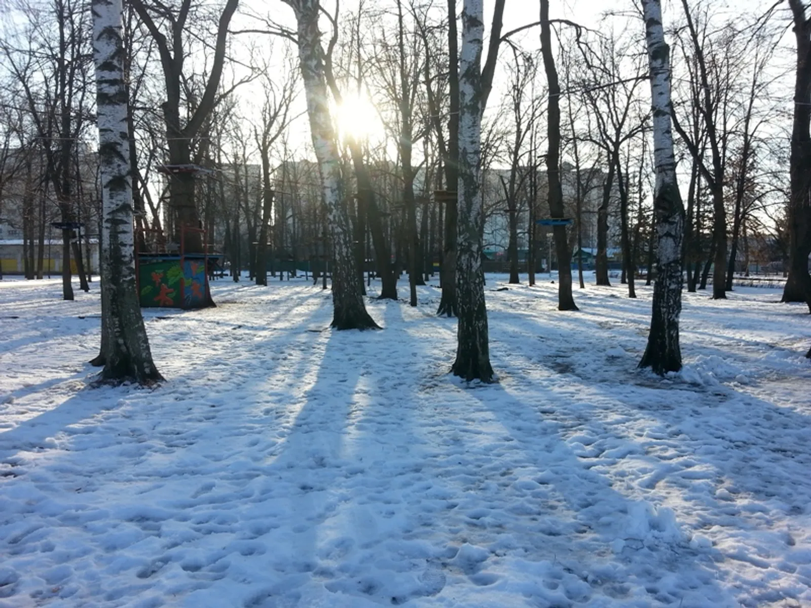 Фото автора.