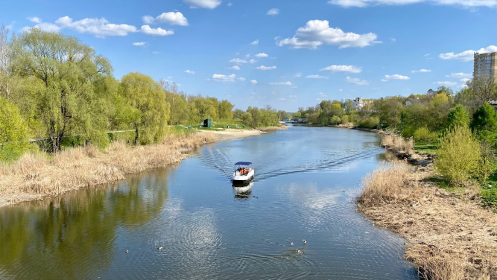 Елены Колоколовой.