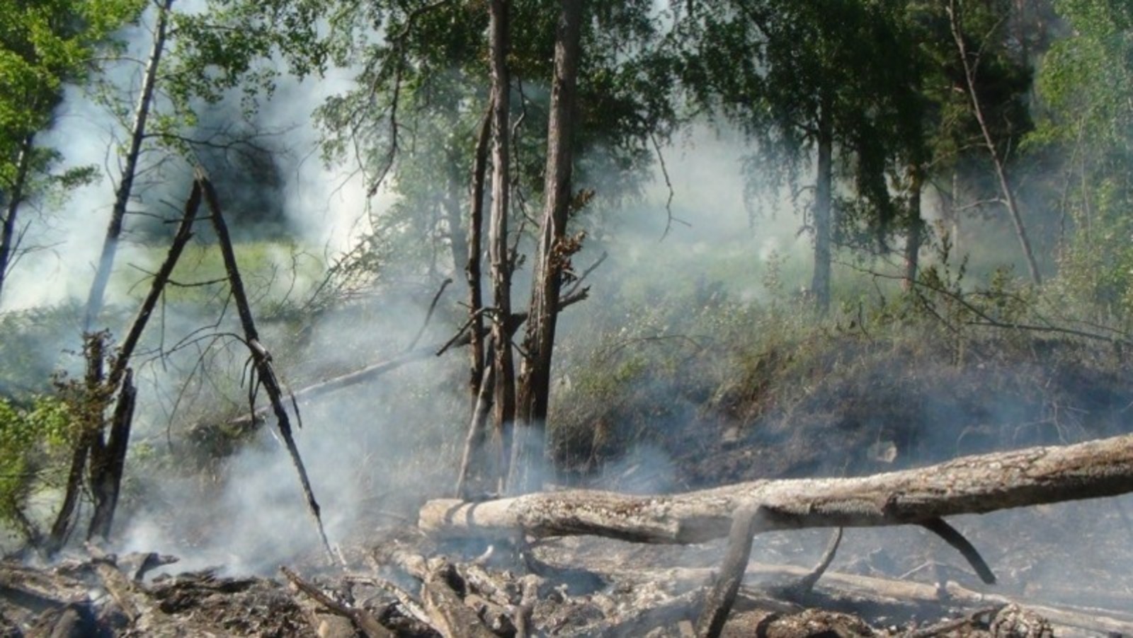 Владимира Шакиева.