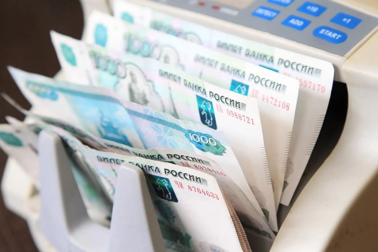 Фото Олега Яровикова.