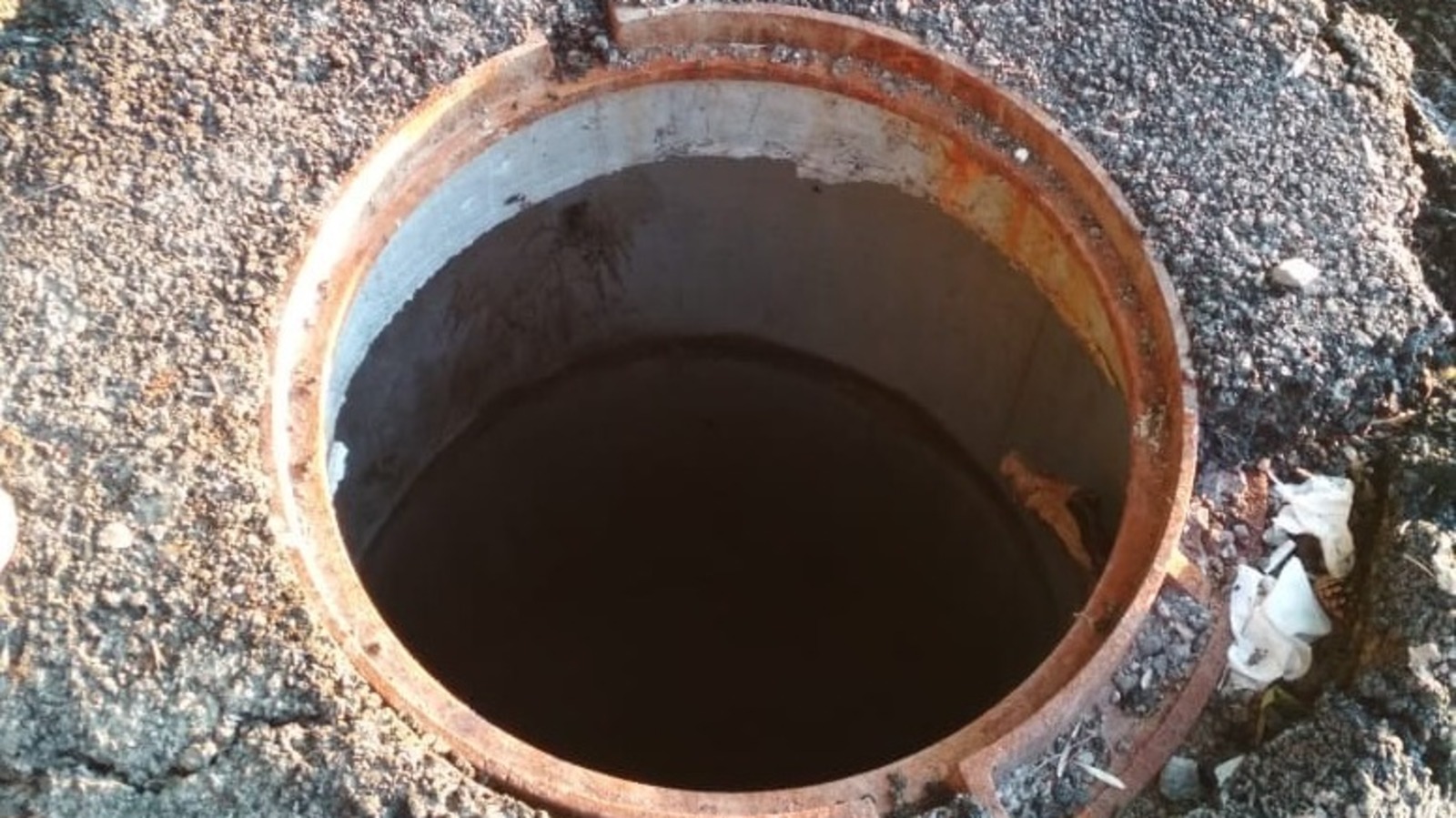 Фото Елены Колоколовой.