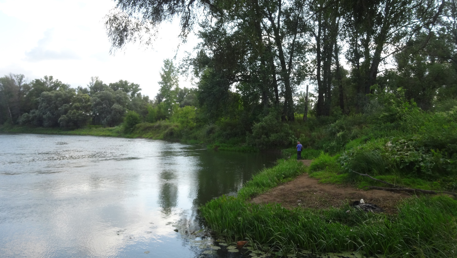 Елены Колоколовой.