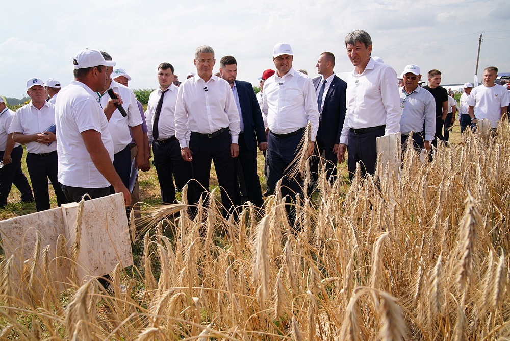 сайт Главы РБ.