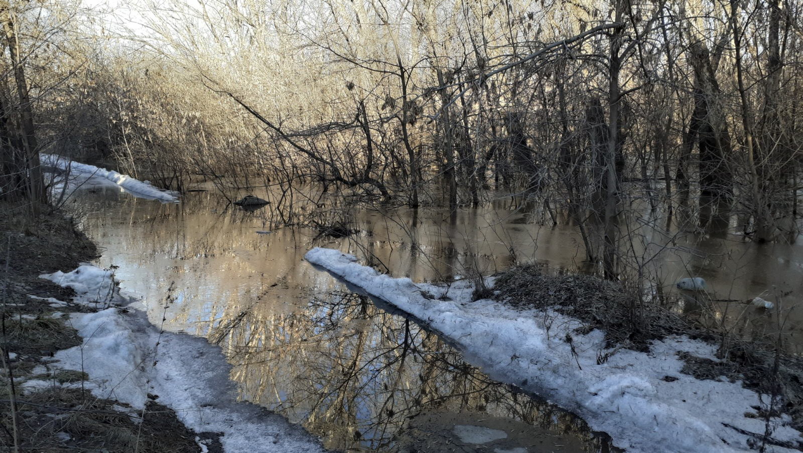 Владимира Шакиева. «Общественная электронная газета».