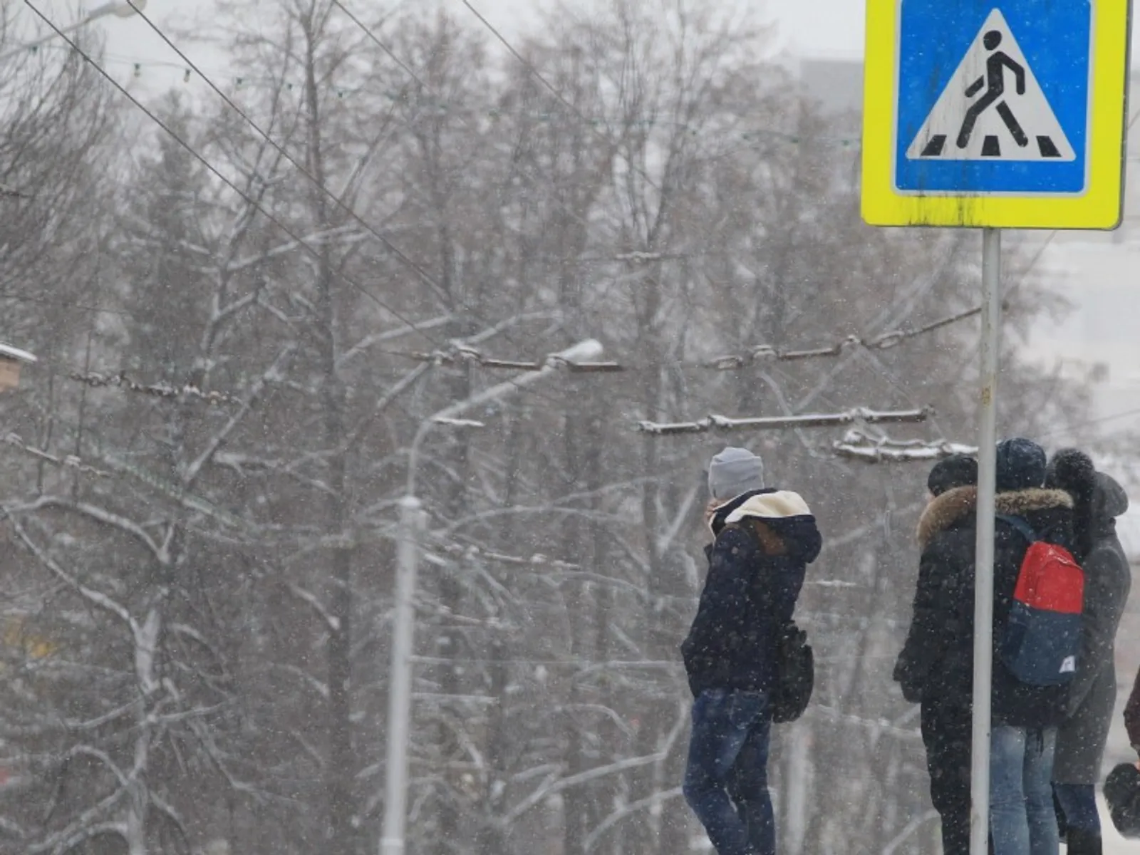 Фото Олега Яровикова.