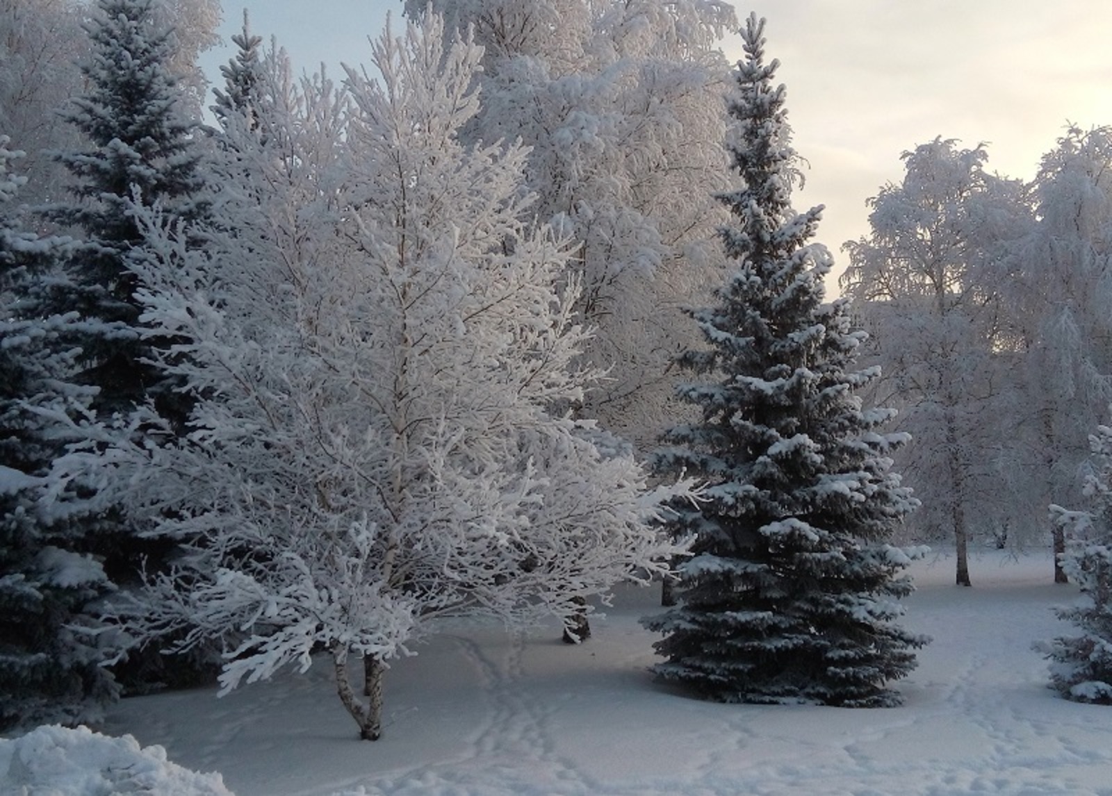 Фото Евгении Сюткиной.