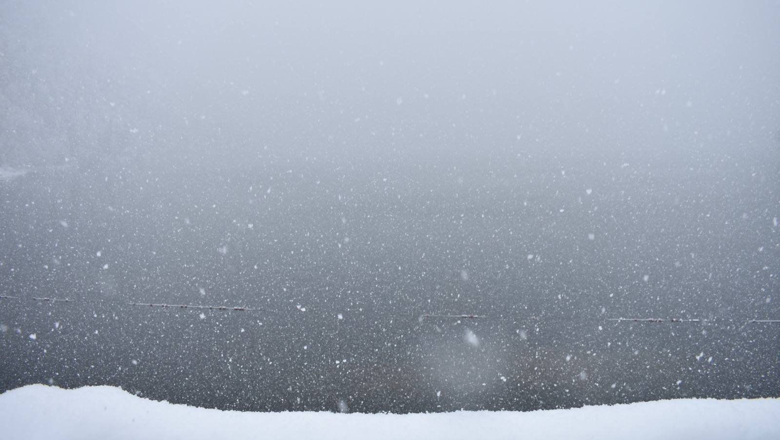 Елены Колоколовой.  "Общественная электронная газета".