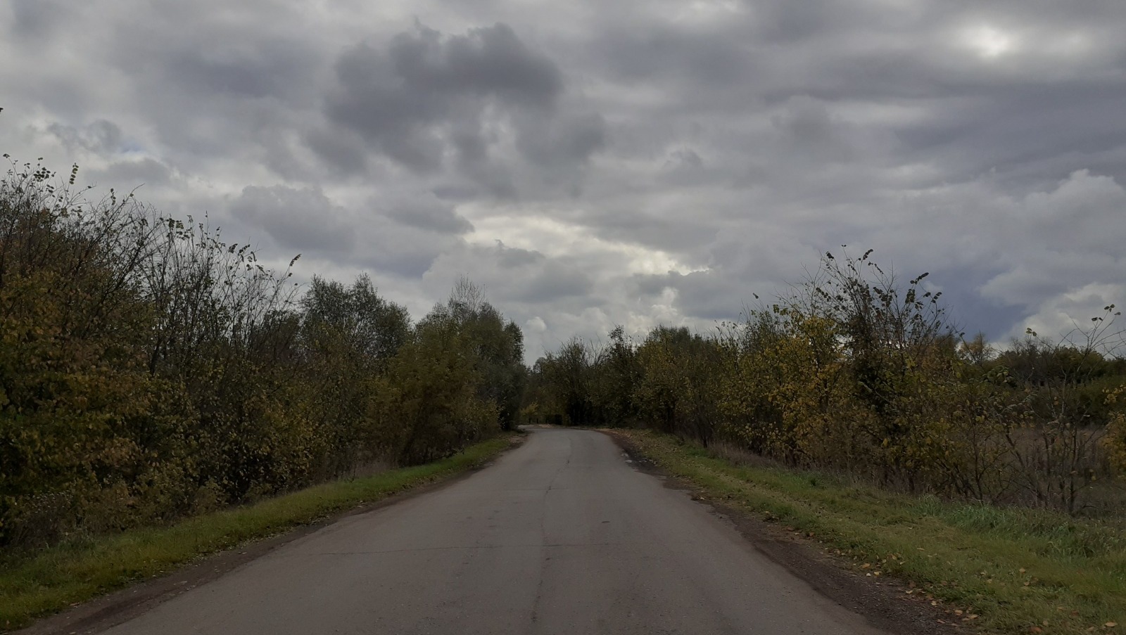 Владимира Шакиева.