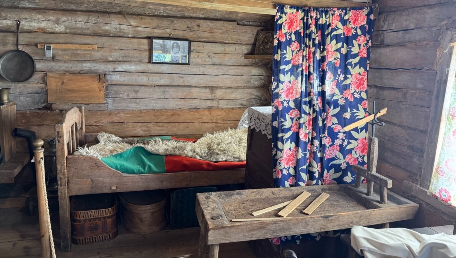 Елены Колоколовой.