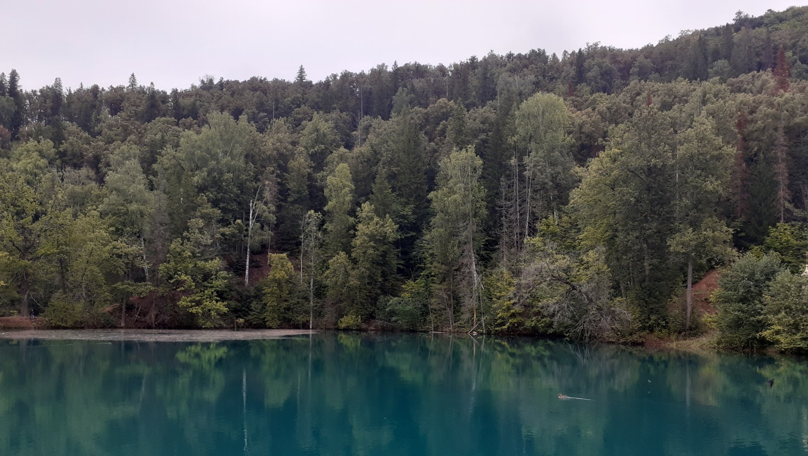 Владимира Шакиева.