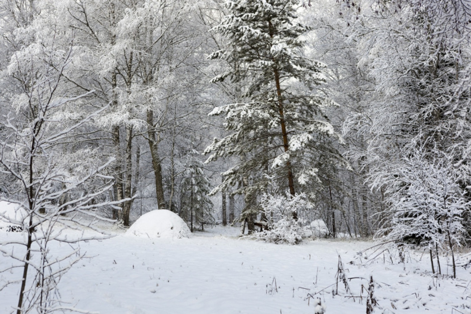 Фото Фаиля Абсатарова.