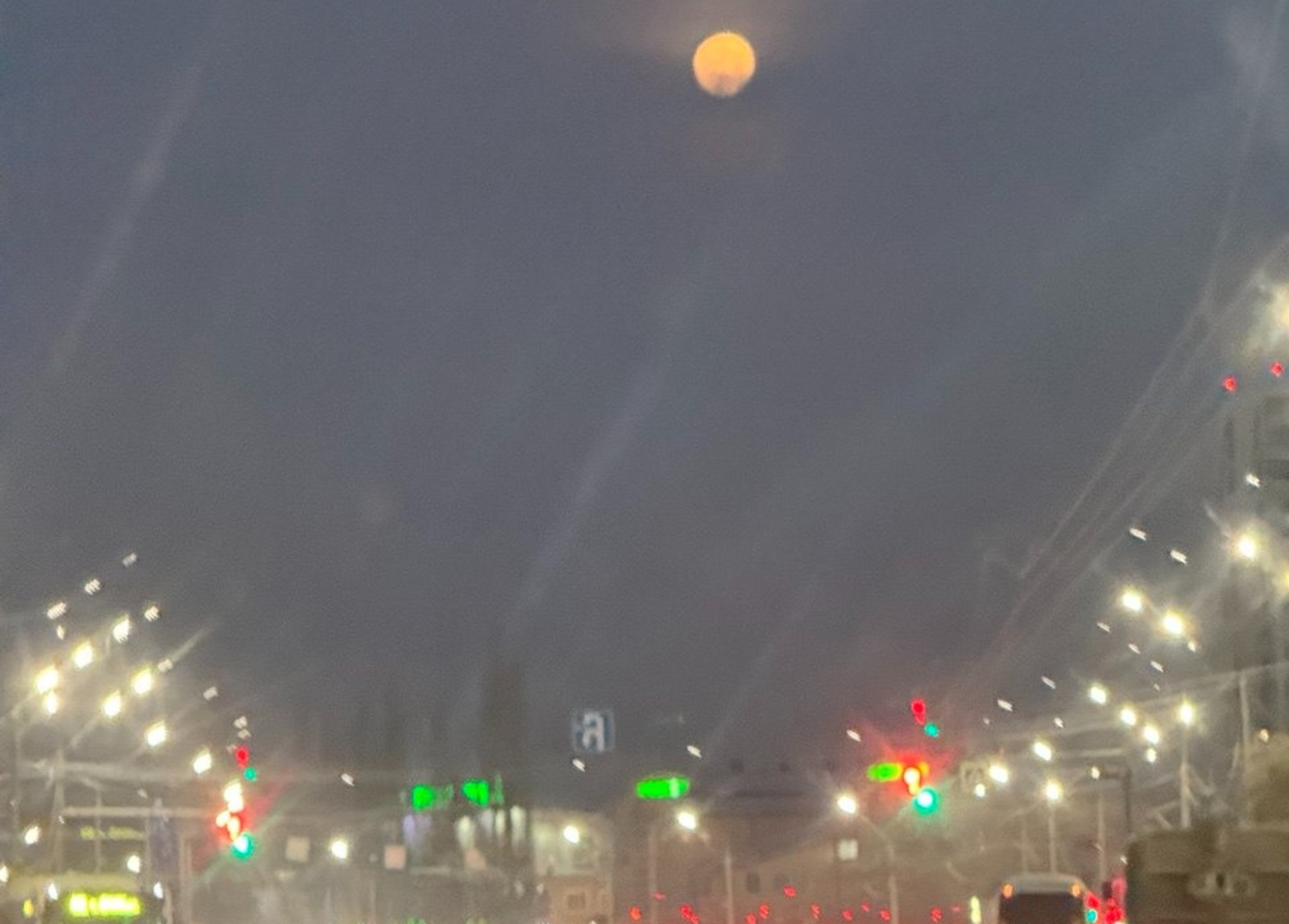 Елены Колоколовой. «Общественная электронная газета».