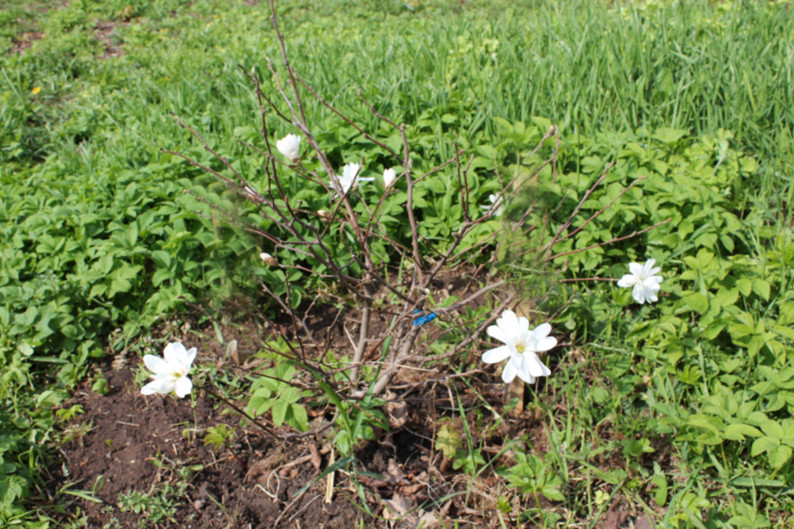 Фото автора.