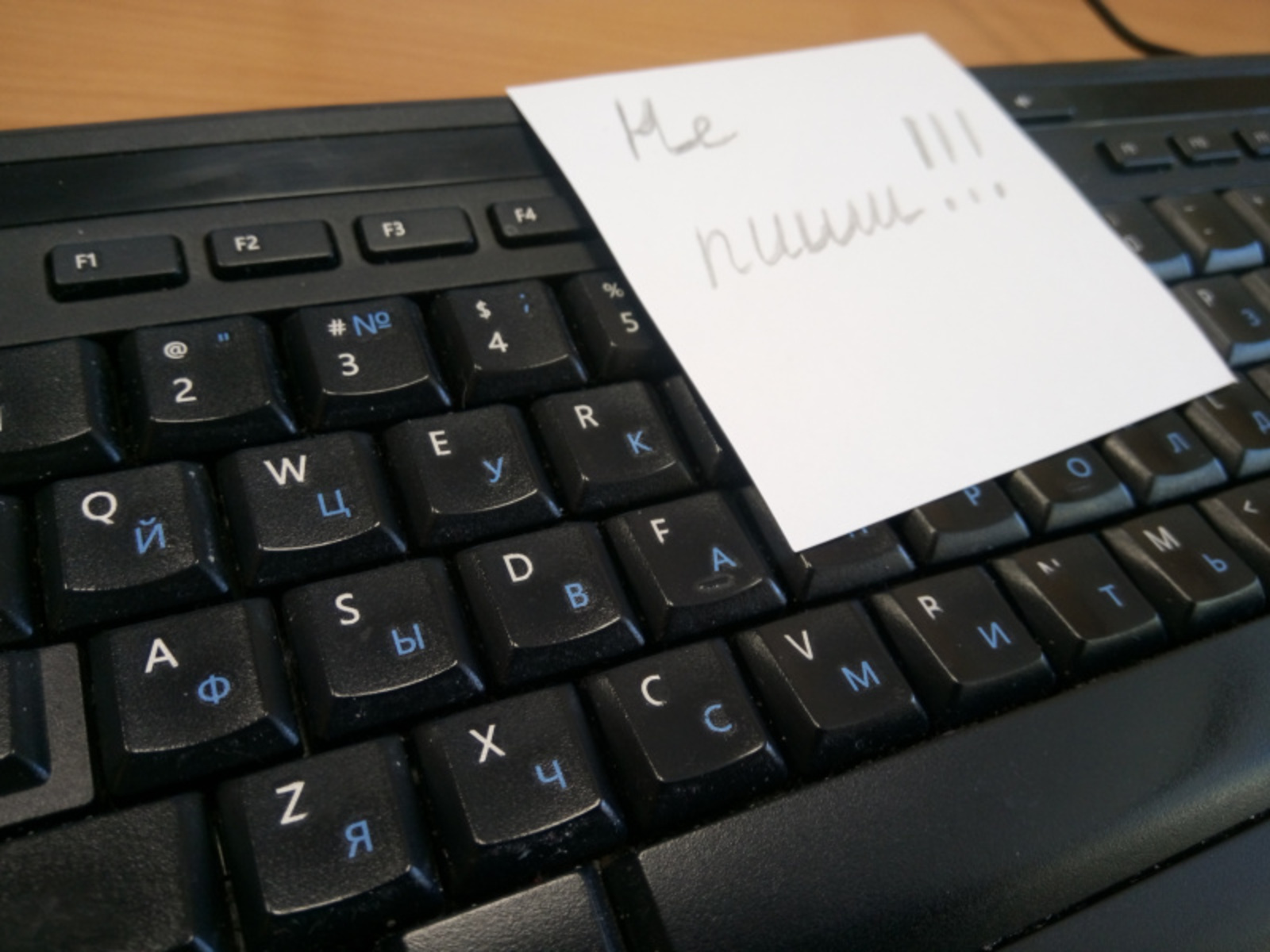 Фото Васили Саитовой.