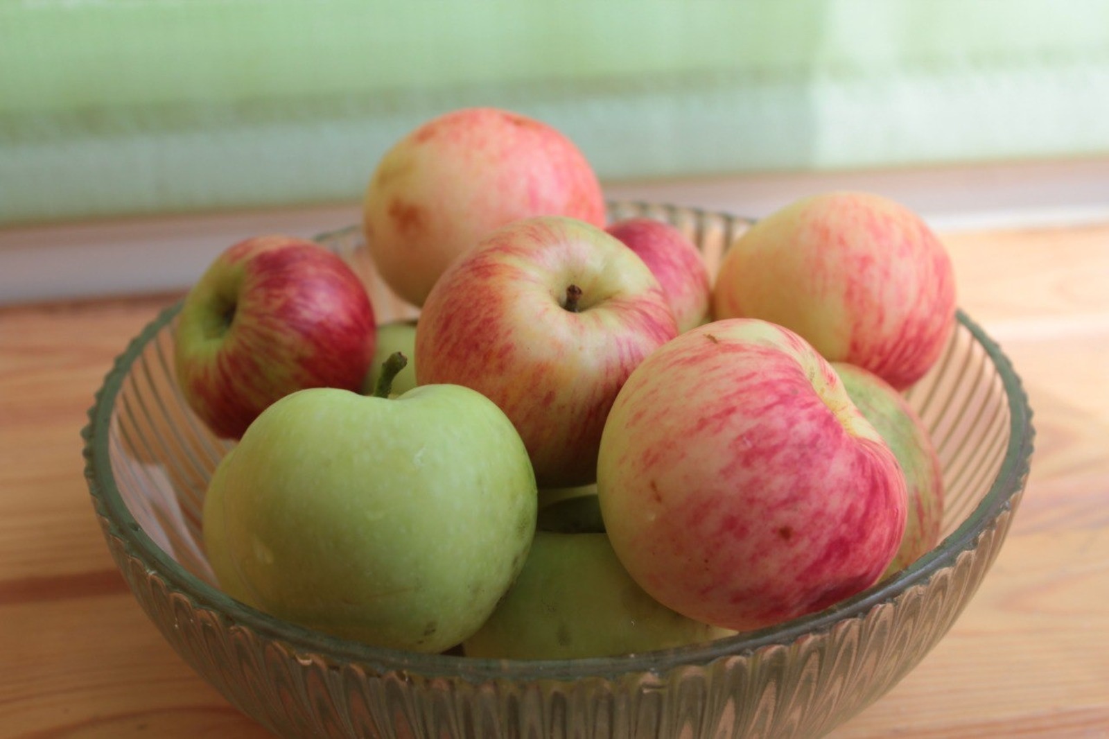 Дарьи Святохиной.