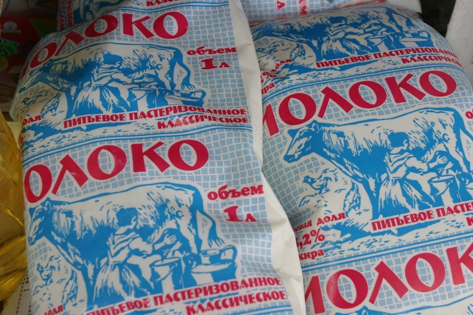 Фото Олега Яровикова (архив).