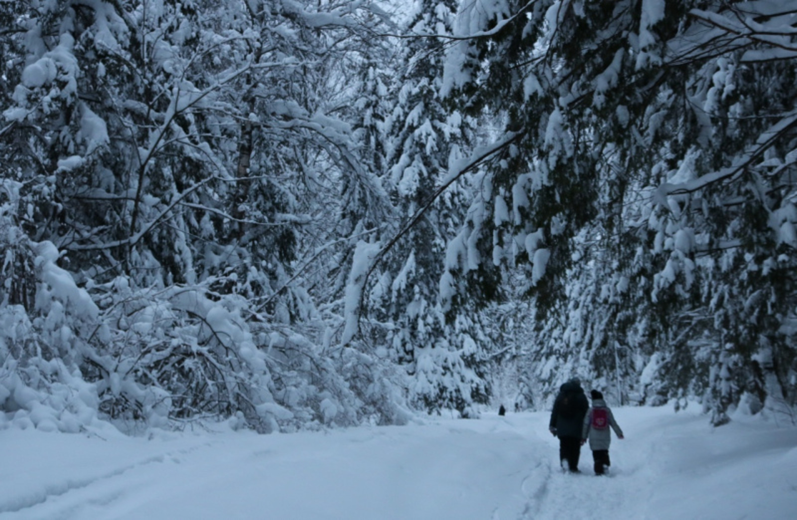 Фото Фарида Гильмиярова.