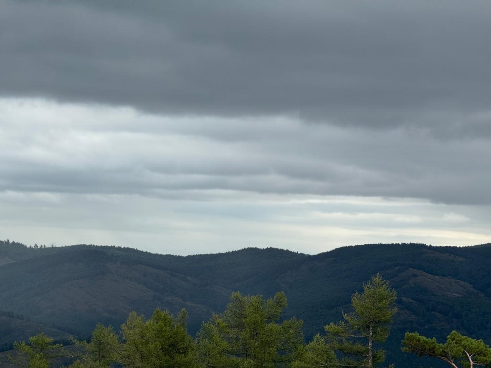 Елены Колоколовой.