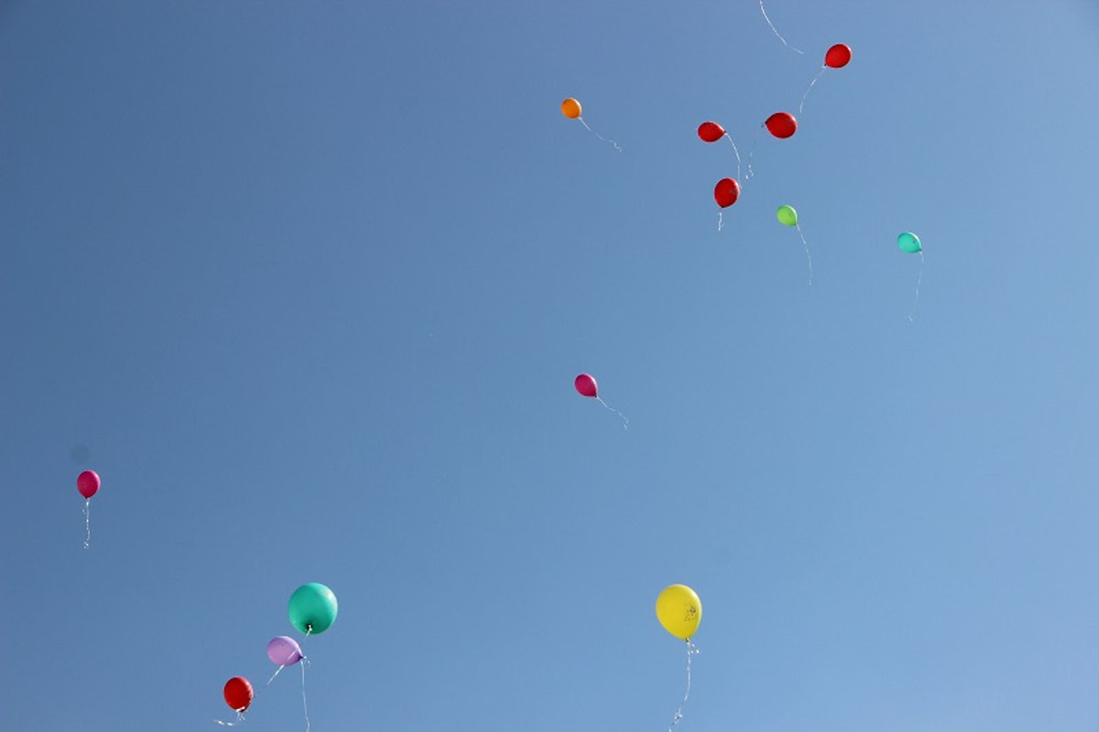 Фото Олега Яровикова.