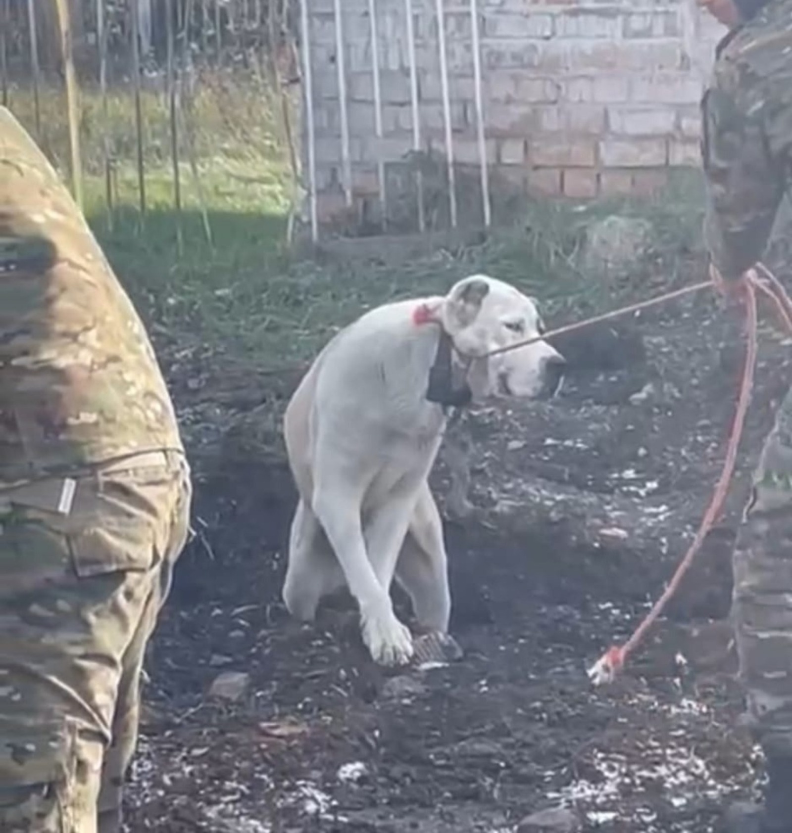 Vk, официальная страница администрации Салавата.