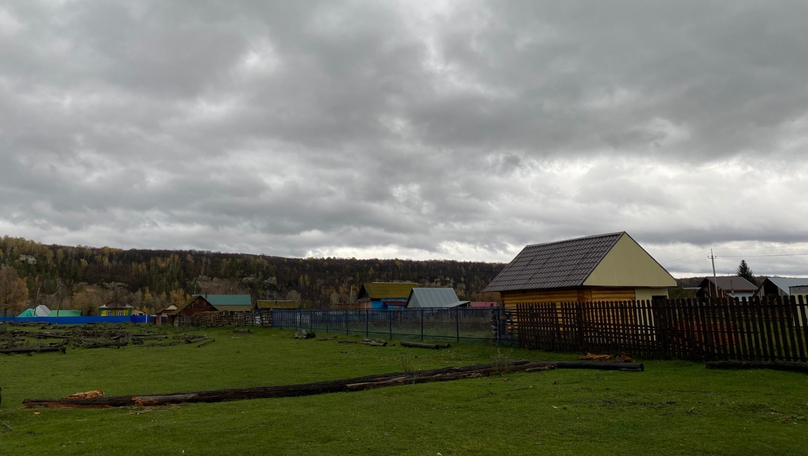 Елены Колоколовой.