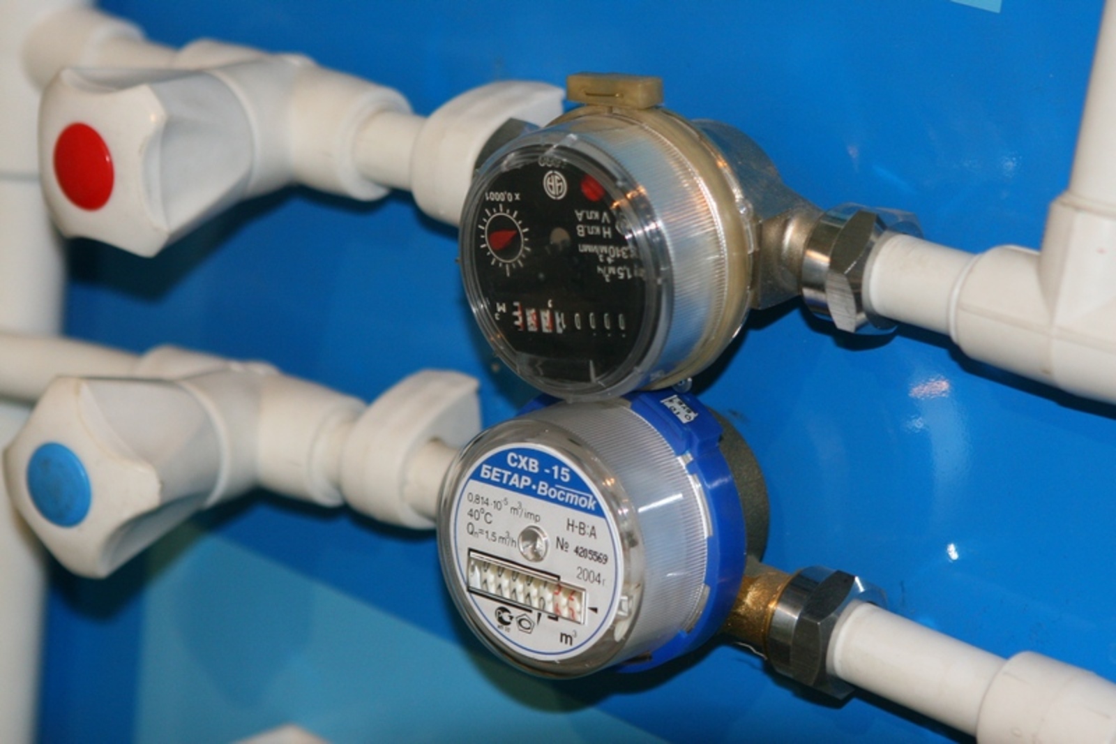 Фото Андрея Старостина (архив).