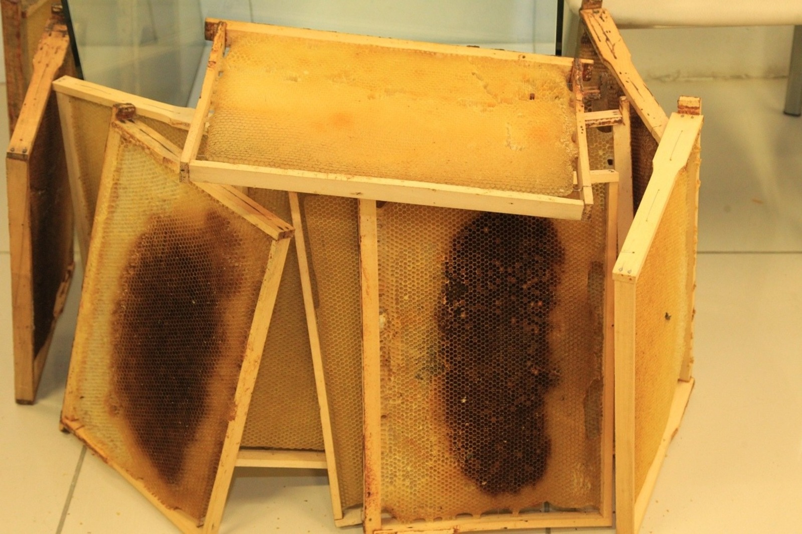 Дарьи Святохиной.