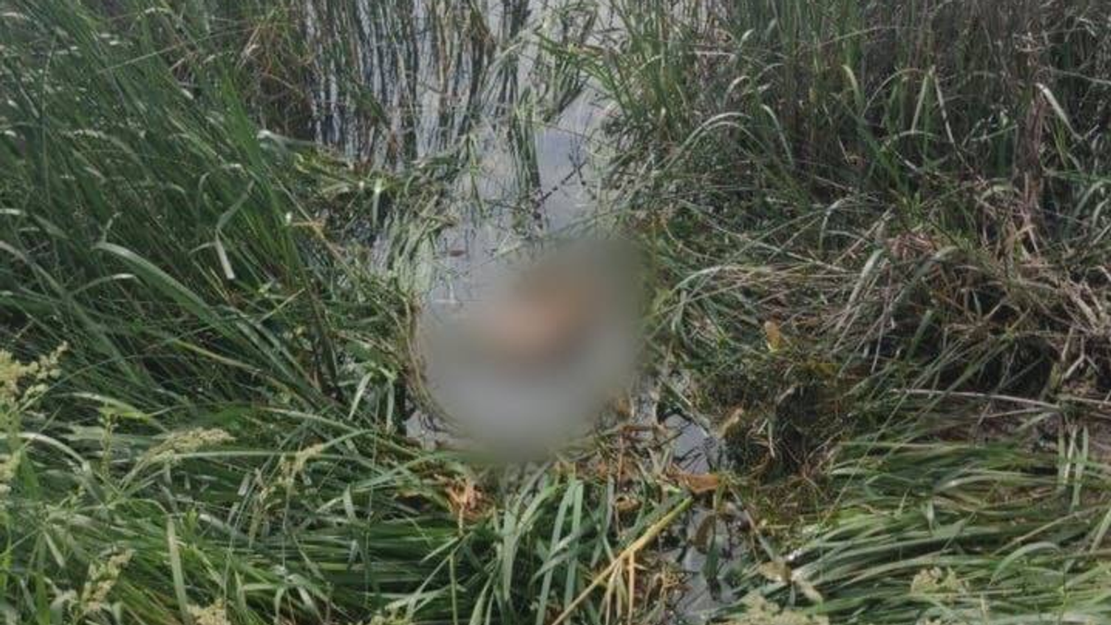 предоставлено МЧС.