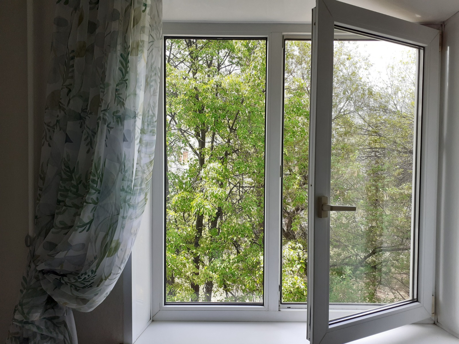 Владимира Шакиева.